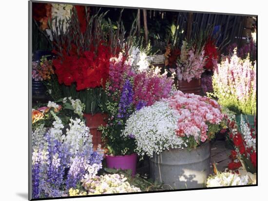 Bunch of Flowers at the Market, Madagascar-Daisy Gilardini-Mounted Photographic Print