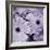 Bunch of Flowers I-Tony Koukos-Framed Giclee Print