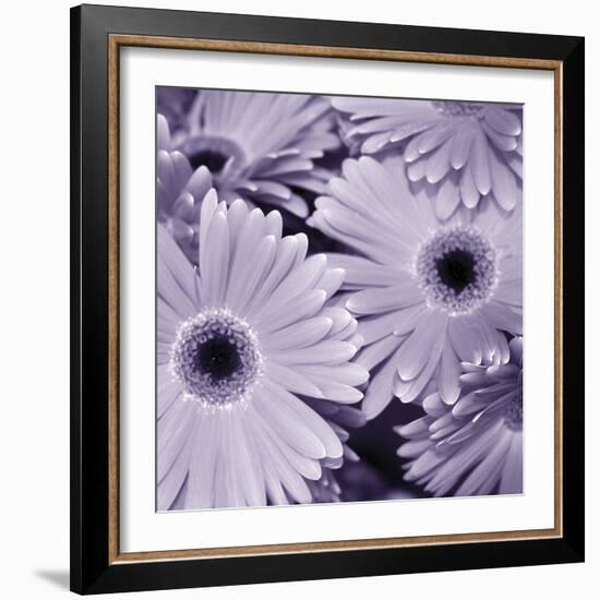 Bunch of Flowers I-Tony Koukos-Framed Giclee Print