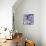 Bunch of Flowers III-Tony Koukos-Giclee Print displayed on a wall