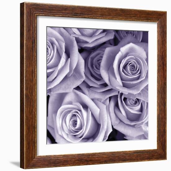 Bunch of Flowers III-Tony Koukos-Framed Giclee Print