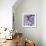 Bunch of Flowers III-Tony Koukos-Framed Giclee Print displayed on a wall