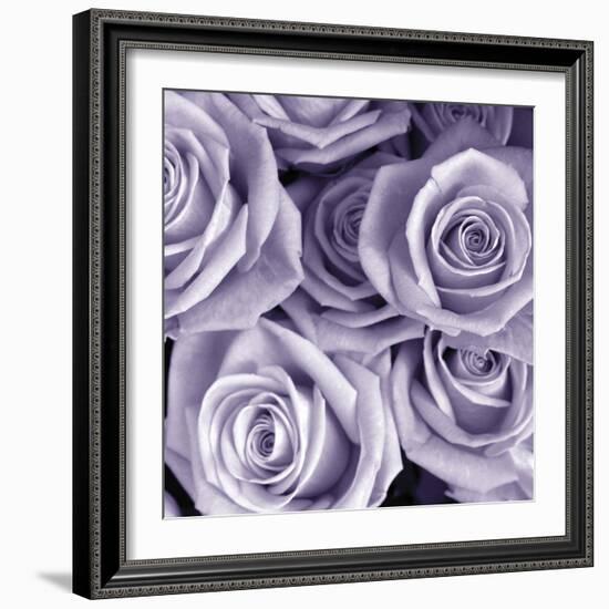 Bunch of Flowers III-Tony Koukos-Framed Giclee Print