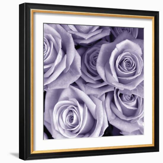 Bunch of Flowers III-Tony Koukos-Framed Giclee Print