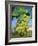 Bunch of Grapes, Champagne, France-Sylvain Grandadam-Framed Photographic Print