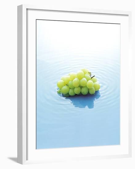 Bunch of Grapes Floating on Water-null-Framed Photographic Print