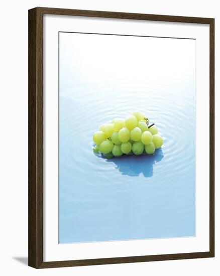 Bunch of Grapes Floating on Water-null-Framed Photographic Print