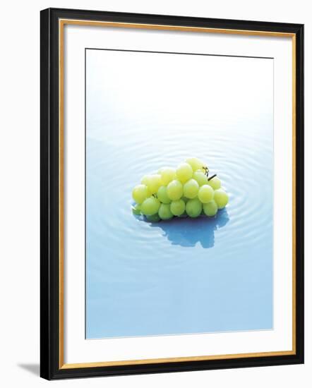 Bunch of Grapes Floating on Water-null-Framed Photographic Print