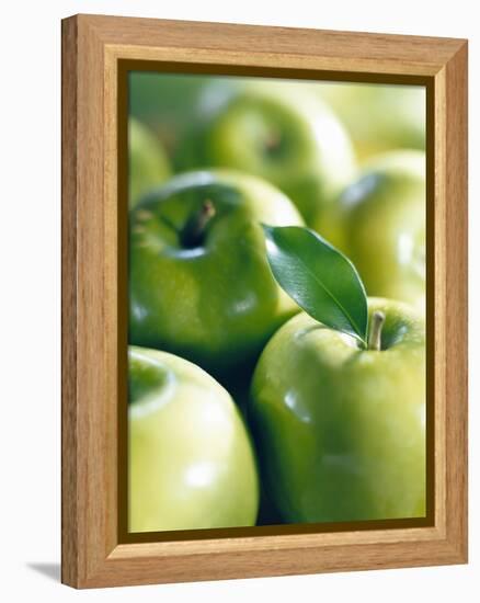 Bunch of Green Apples-Rick Barrentine-Framed Premier Image Canvas