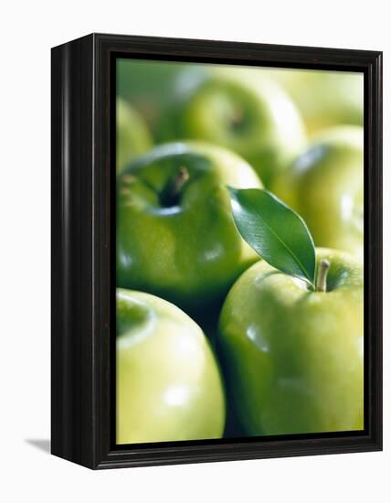 Bunch of Green Apples-Rick Barrentine-Framed Premier Image Canvas