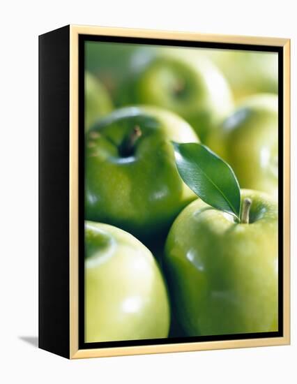 Bunch of Green Apples-Rick Barrentine-Framed Premier Image Canvas