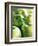 Bunch of Green Apples-Rick Barrentine-Framed Premium Photographic Print