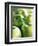 Bunch of Green Apples-Rick Barrentine-Framed Premium Photographic Print