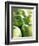 Bunch of Green Apples-Rick Barrentine-Framed Premium Photographic Print