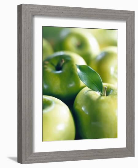 Bunch of Green Apples-Rick Barrentine-Framed Photographic Print