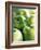 Bunch of Green Apples-Rick Barrentine-Framed Photographic Print