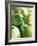 Bunch of Green Apples-Rick Barrentine-Framed Photographic Print