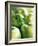 Bunch of Green Apples-Rick Barrentine-Framed Photographic Print