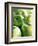 Bunch of Green Apples-Rick Barrentine-Framed Photographic Print