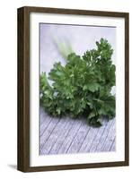 Bunch of Parsley-Maxine Adcock-Framed Photographic Print