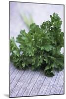 Bunch of Parsley-Maxine Adcock-Mounted Photographic Print