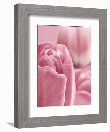 Bunch of Pink Tulips-null-Framed Photographic Print