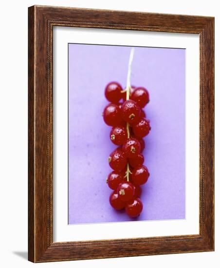 Bunch of Redcurrants-Marc O^ Finley-Framed Photographic Print