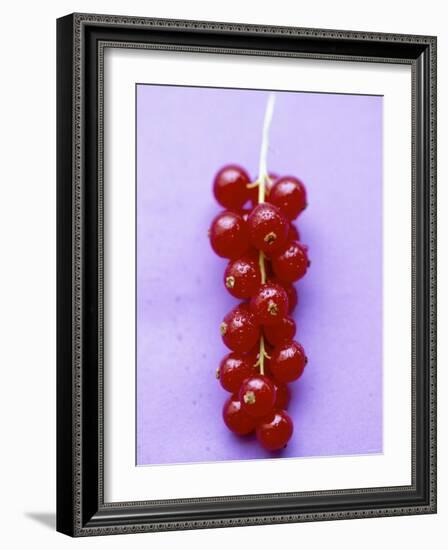 Bunch of Redcurrants-Marc O^ Finley-Framed Photographic Print