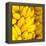 Bunch of Ripe Bananas Background-mazzzur-Framed Premier Image Canvas