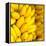 Bunch of Ripe Bananas Background-mazzzur-Framed Premier Image Canvas