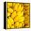 Bunch of Ripe Bananas Background-mazzzur-Framed Premier Image Canvas