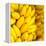 Bunch of Ripe Bananas Background-mazzzur-Framed Premier Image Canvas