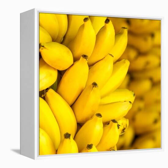 Bunch of Ripe Bananas Background-mazzzur-Framed Premier Image Canvas