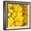 Bunch of Ripe Bananas Background-mazzzur-Framed Photographic Print