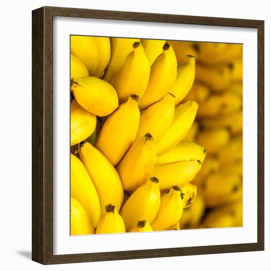 Bunch of Ripe Bananas Background-mazzzur-Framed Photographic Print