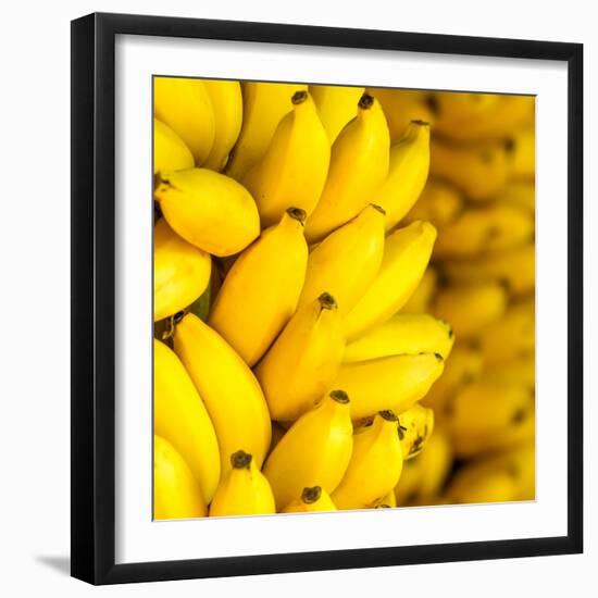 Bunch of Ripe Bananas Background-mazzzur-Framed Photographic Print