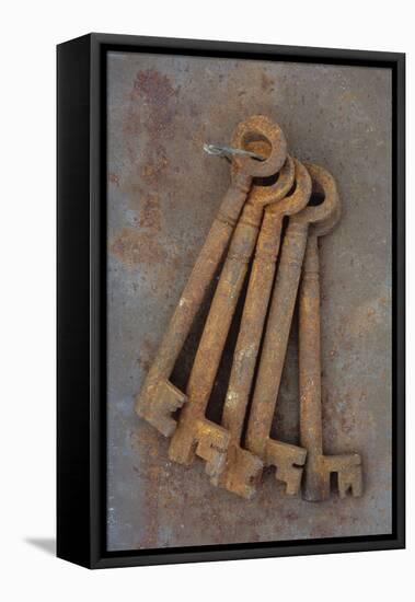 Bunch of Rusty Old Deadlock Keys Held Together by Wire Lying On Rusty Metal Sheet-Den Reader-Framed Premier Image Canvas