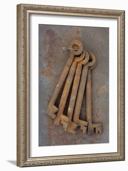 Bunch of Rusty Old Deadlock Keys Held Together by Wire Lying On Rusty Metal Sheet-Den Reader-Framed Photographic Print