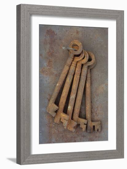 Bunch of Rusty Old Deadlock Keys Held Together by Wire Lying On Rusty Metal Sheet-Den Reader-Framed Photographic Print