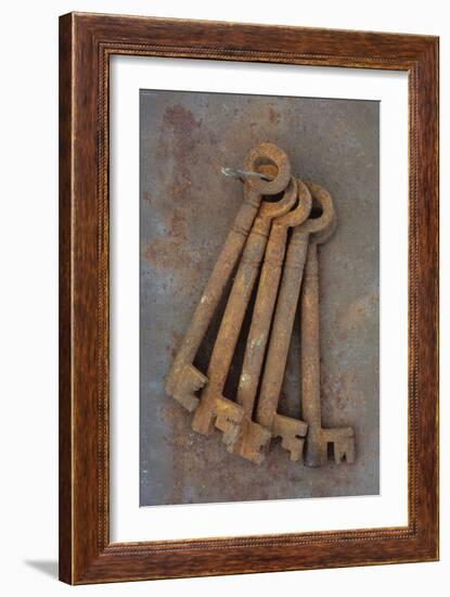 Bunch of Rusty Old Deadlock Keys Held Together by Wire Lying On Rusty Metal Sheet-Den Reader-Framed Photographic Print