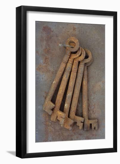 Bunch of Rusty Old Deadlock Keys Held Together by Wire Lying On Rusty Metal Sheet-Den Reader-Framed Photographic Print