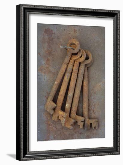 Bunch of Rusty Old Deadlock Keys Held Together by Wire Lying On Rusty Metal Sheet-Den Reader-Framed Photographic Print