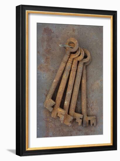 Bunch of Rusty Old Deadlock Keys Held Together by Wire Lying On Rusty Metal Sheet-Den Reader-Framed Photographic Print