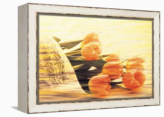 Bunch of Tulips and Sheet Music, Digitally Composite-null-Framed Stretched Canvas