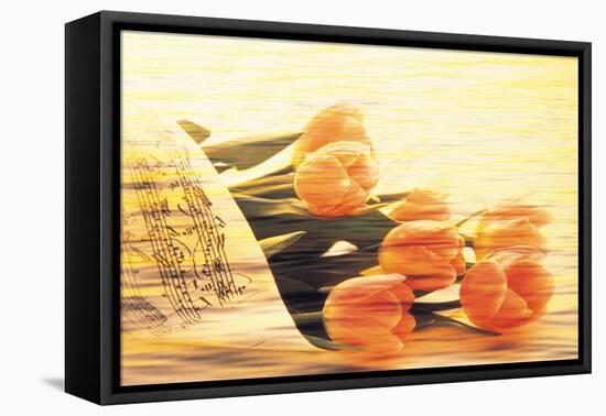 Bunch of Tulips and Sheet Music, Digitally Composite-null-Framed Stretched Canvas