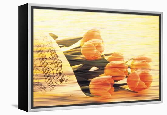 Bunch of Tulips and Sheet Music, Digitally Composite-null-Framed Stretched Canvas