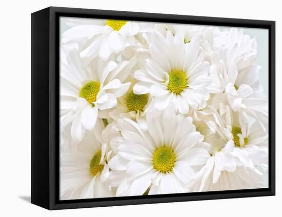 Bunch of White Daisies-Gail Peck-Framed Stretched Canvas