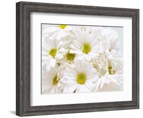 Bunch of White Daisies-Gail Peck-Framed Art Print