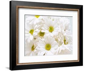 Bunch of White Daisies-Gail Peck-Framed Art Print