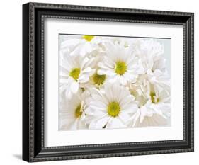 Bunch of White Daisies-Gail Peck-Framed Art Print